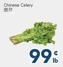 Oceans Fresh Food Market Chinese Celery offer
