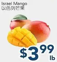 Oceans Fresh Food Market Israel Mango offer