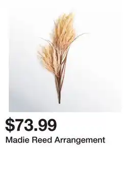 Wayfair Madie Reed Arrangement offer