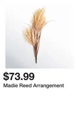 Wayfair Madie Reed Arrangement offer