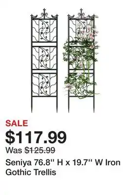 Wayfair Seniya 76.8'' H x 19.7'' W Iron Gothic Trellis offer