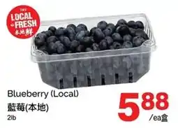 T&T Supermarket Blueberry offer