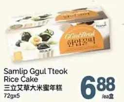 T&T Supermarket Samlip Ggul Tteok Rice Cake offer