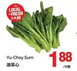 T&T Supermarket Yu-Choy Sum offer