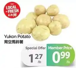 T&T Supermarket Yukon Potato offer