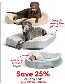 Petsmart All dog beds offer