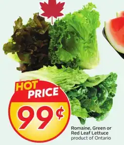 Sobeys Romaine, Green or Red Leaf Lettuce offer