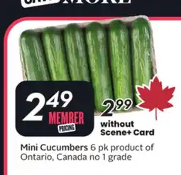 Sobeys Mini Cucumbers offer