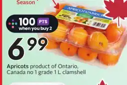 Sobeys Apricots offer
