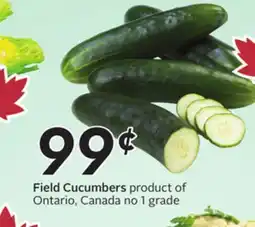 Sobeys Field Cucumbers offer