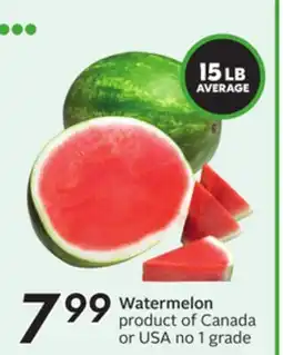 Sobeys Watermelon offer
