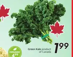 Sobeys Green Kale offer