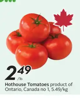 Sobeys Hothouse Tomatoes offer