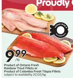 Sobeys Product of Ontario Fresh Rainbow Trout Fillets or Product of Colombia Fresh Tilapia Fillets offer