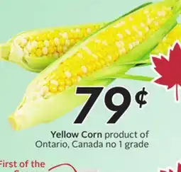 Sobeys Yellow Corn offer