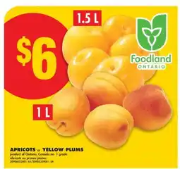 No Frills APRICOTS, 1 L or YELLOW PLUMS, 1.5 L offer