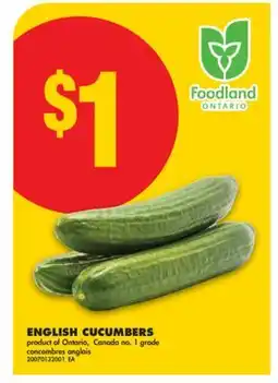 No Frills ENGLISH CUCUMBERS offer