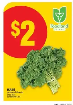 No Frills KALE offer