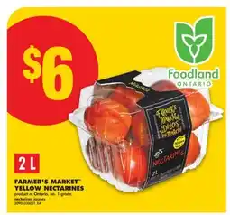 No Frills FARMER'S MARKET YELLOW NECTARINES, 2 L offer