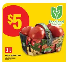 No Frills FIELD TOMATOES offer