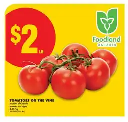 No Frills TOMATOES ON THE VINE offer