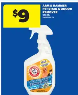 Real Canadian Superstore ARM & HAMMER PET STAIN & ODOUR REMOVER, 950 ML offer