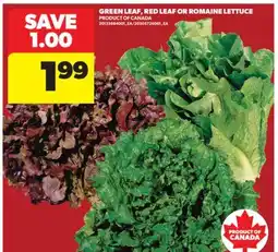 Real Canadian Superstore GREEN LEAF, RED LEAF OR ROMAINE LETTUCE offer