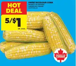 Real Canadian Superstore SWEET BICOLOUR CORN offer
