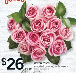 Fortinos DOZEN ROSES, 50 CM offer