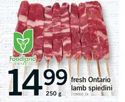 Fortinos FRESH ONTARIO LAMB SPIEDINI, 250 G offer
