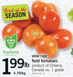 Fortinos VINE RIPE FIELD TOMATOES offer