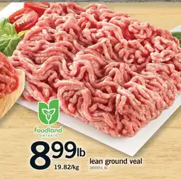 Fortinos LEAN GROUND VEAL offer