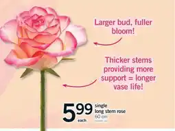 Fortinos SINGLE LONG STEM ROSE, 60 cm offer