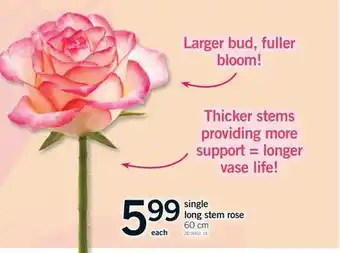 Fortinos SINGLE LONG STEM ROSE, 60 cm offer