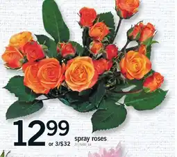 Fortinos SPRAY ROSES offer