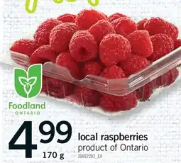 Fortinos LOCAL RASPBERRIES, 170 G offer