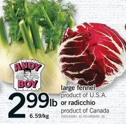 Fortinos LARGE FENNEL OR RADICCHIO offer