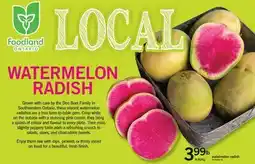 Fortinos WATERMELON RADISH offer