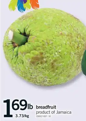 Fortinos BREADFRUIT offer
