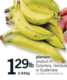 Fortinos PLANTAIN offer