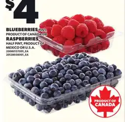 Loblaws BLUEBERRIES, PINT OR RASPBERRIES, HALF PINT offer