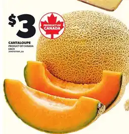 Loblaws CANTALOUPE offer
