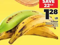 Loblaws PLANTAIN offer