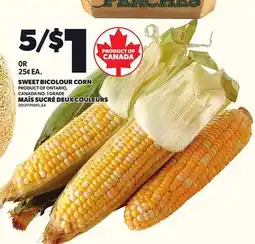 Independent Grocer SWEET BICOLOUR CORN offer