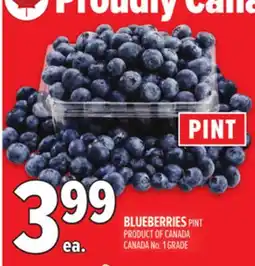 Metro BLUEBERRIES offer