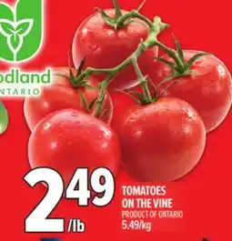 Metro TOMATOES ON THE VINE offer