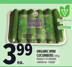 Metro ORGANIC MINI CUCUMBERS offer
