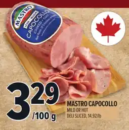 Metro MASTRO CAPOCOLLO offer