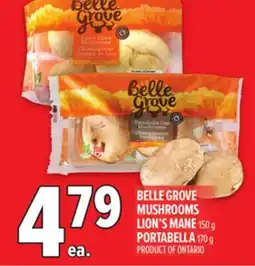 Metro BELLE GROVE MUSHROOMS LION'S MANE offer