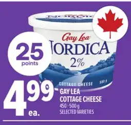Metro GAY LEA COTTAGE CHEESE offer